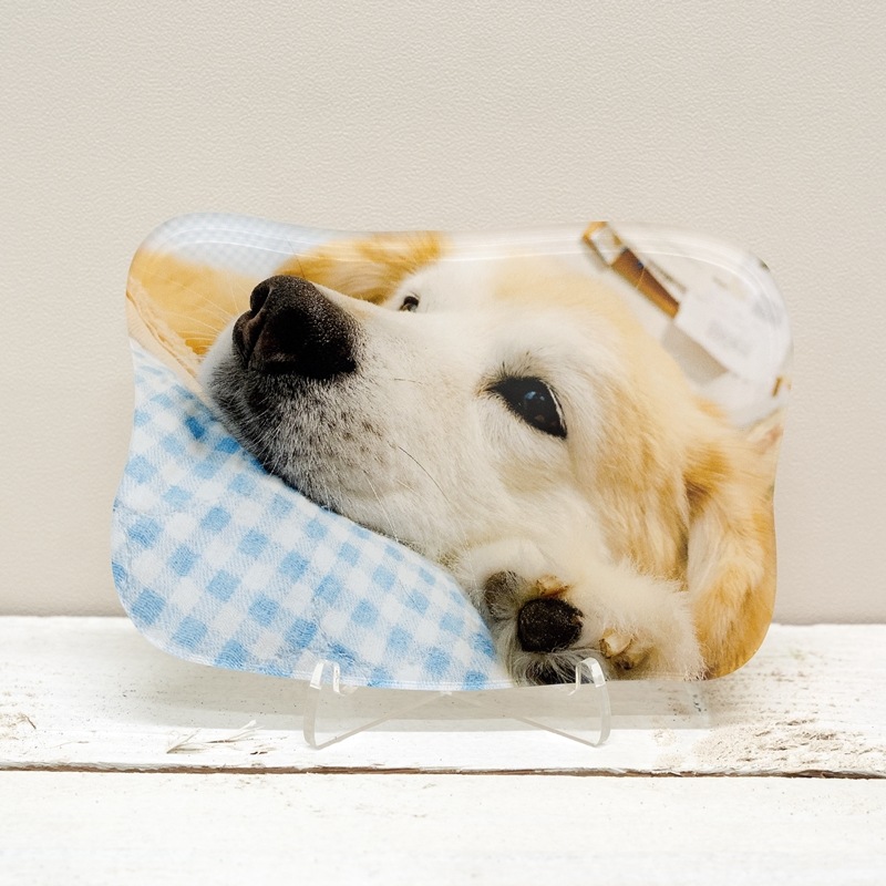 ミニサイズ ウェーブ（Cタイプ）