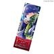 『Obey Me!』Anime NYC チケット風カード / Obey Me! Anime NYC Ticket-Style Cards