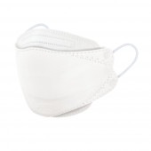 ��ͭ������Х��������ʡۥ�������ɥޥ��� / 10����