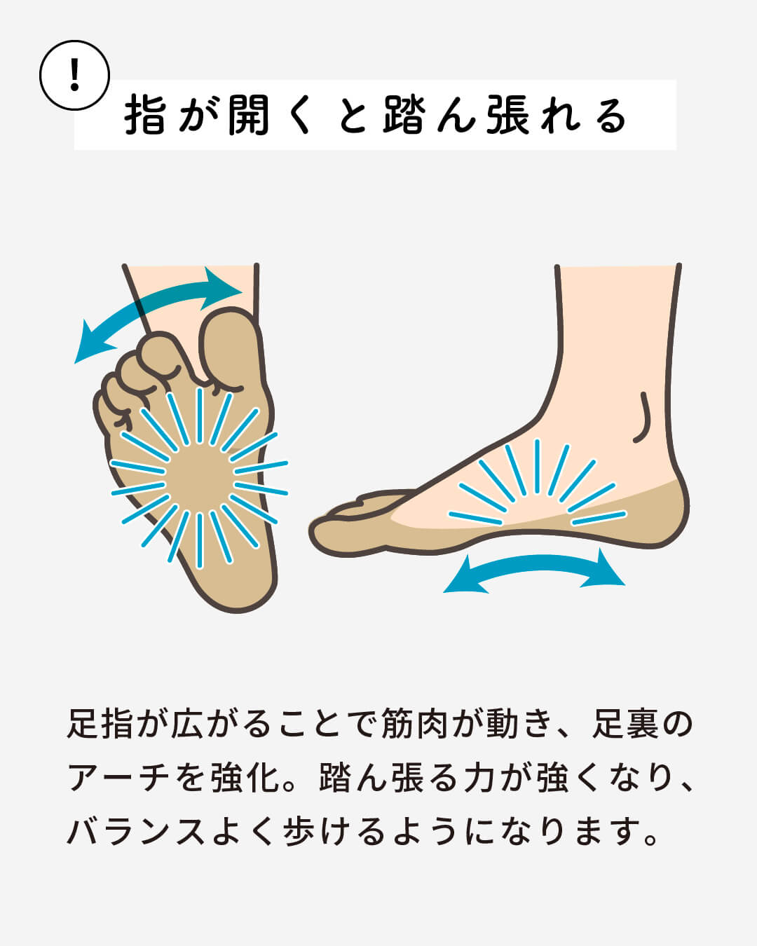 ��ͭ������Х��������ʡ�Actvital �եåȥ��С�