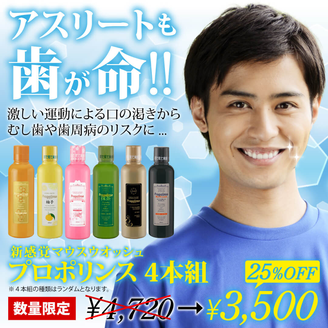 �ڸ���/�ե��ߥ꡼�ۥץ��ݥ�� �����ȥ��å�