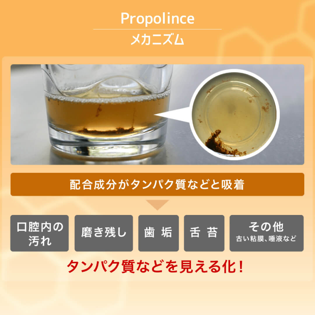 �ڸ���/�ե��ߥ꡼�ۥץ��ݥ�� �����ȥ��å�