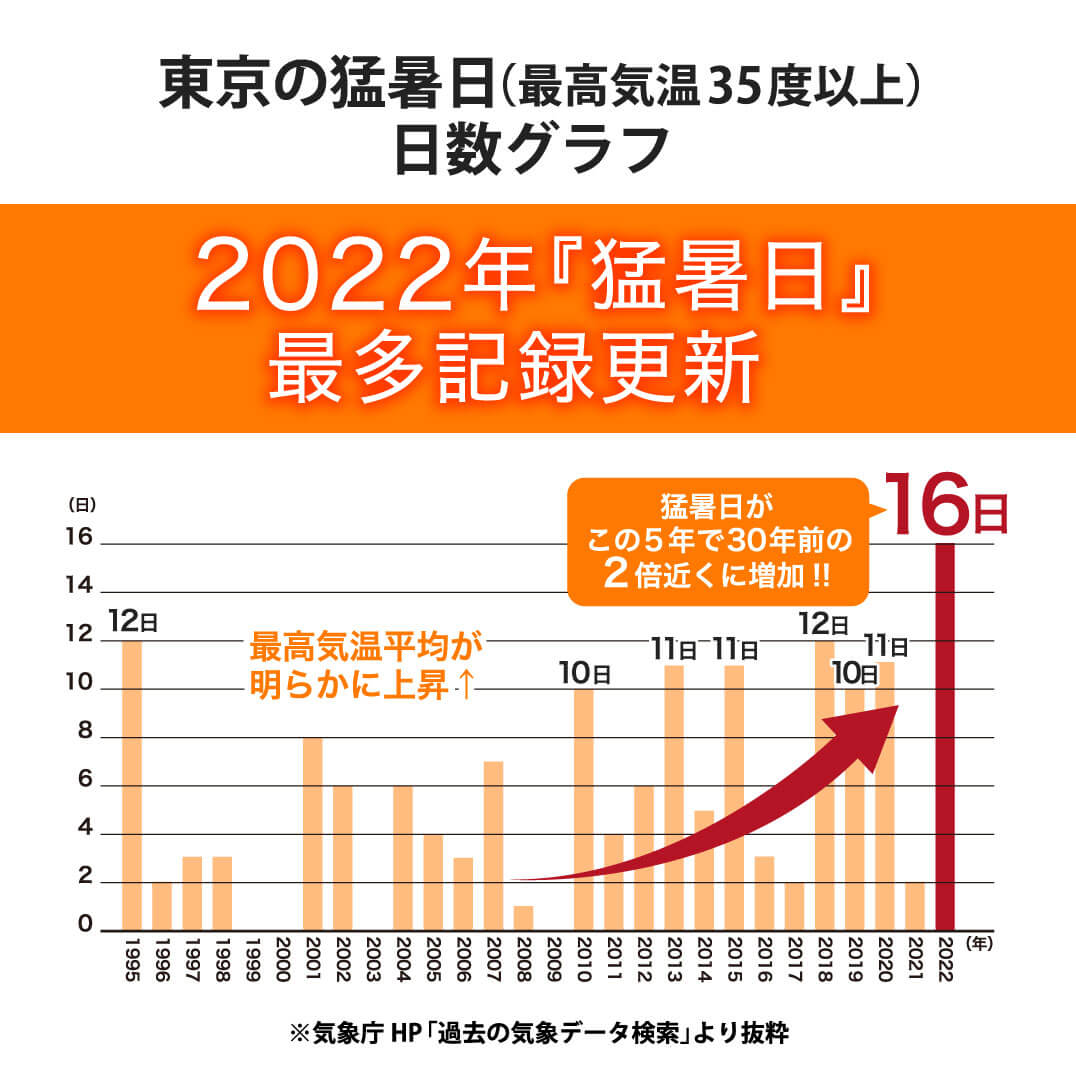 �ڸ���/30%OFF��TERAX COOL ������󥰥��硼��