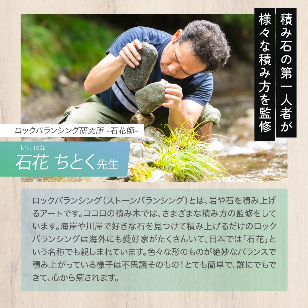 ���������Ѥ��� �ޥ�����������