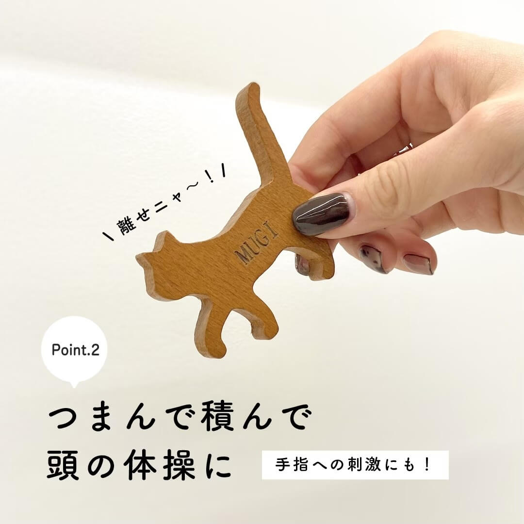 ���������Ѥ��� �ͥ�