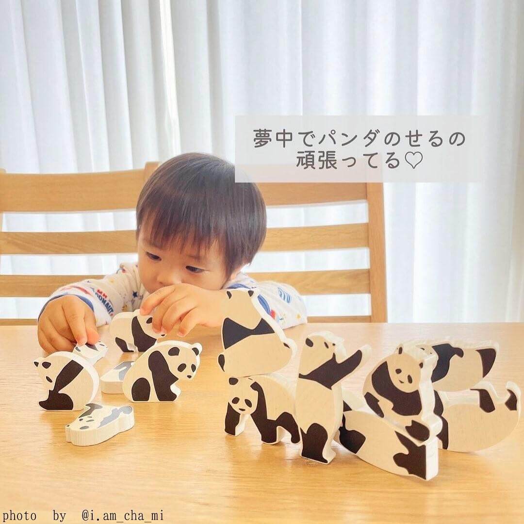 ���������Ѥ��� �ѥ��