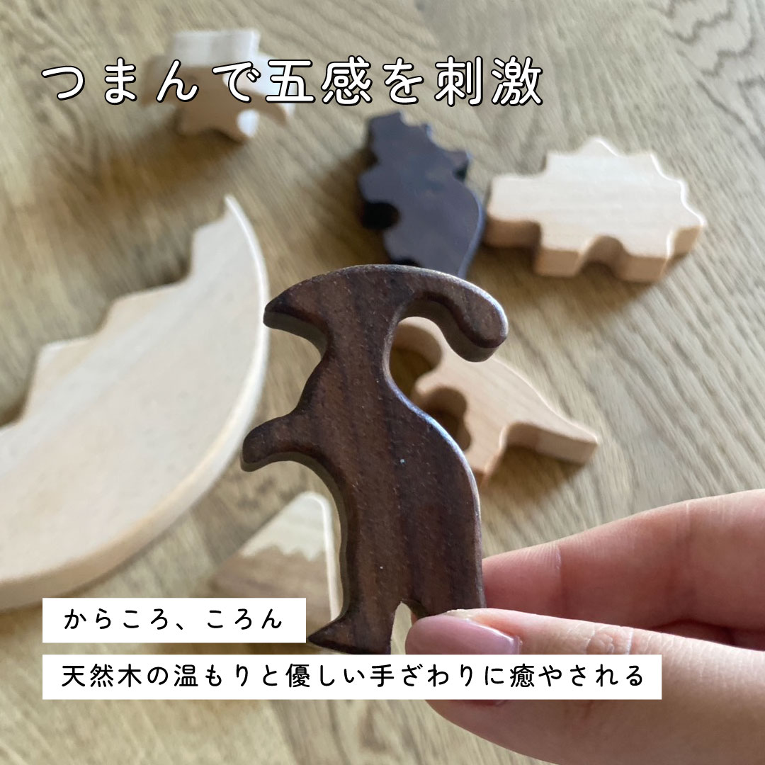 ���������Ѥ��� ��ε