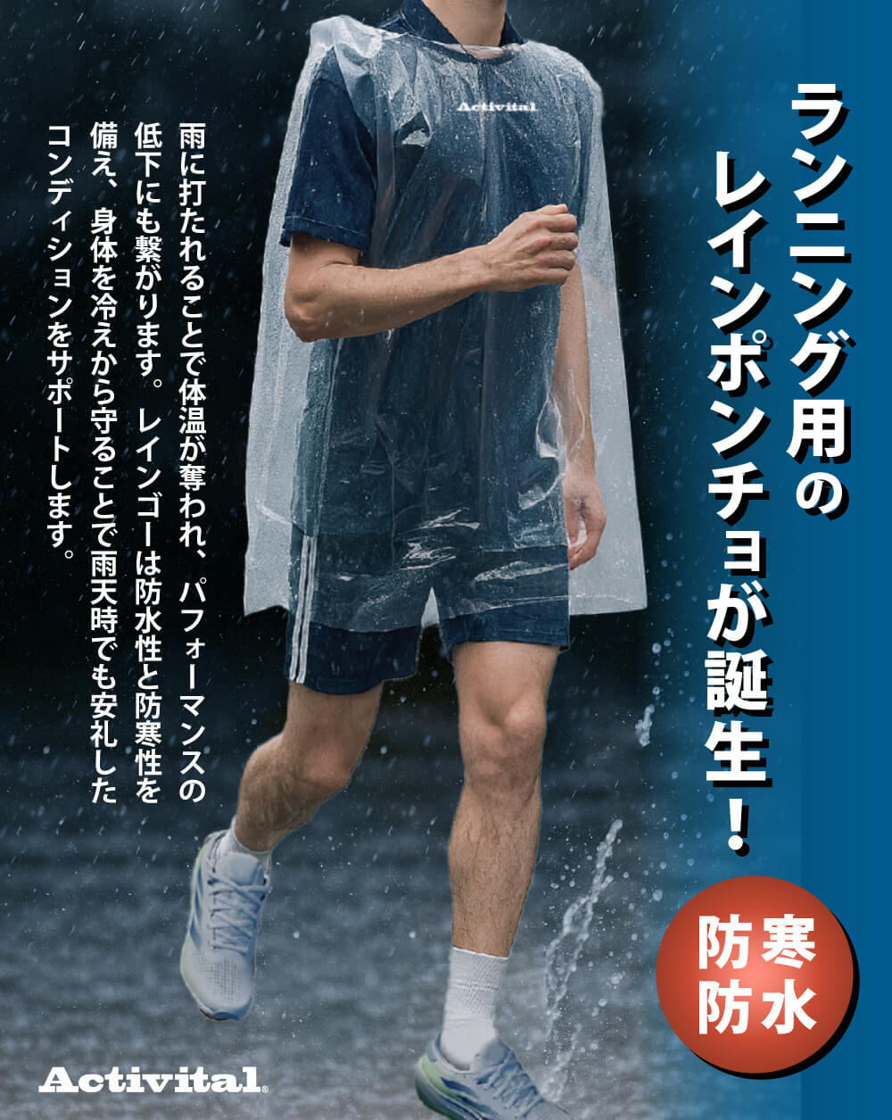 �쥤�󥴡��åӥ֥�������