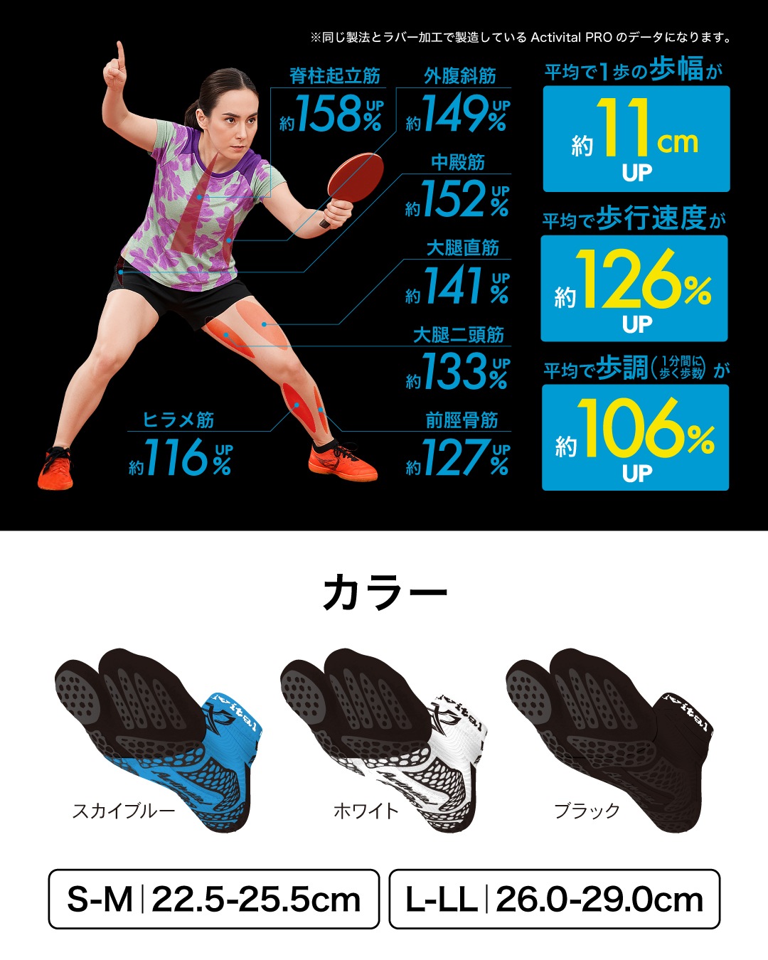 PRO�ơ��֥�ƥ˥�