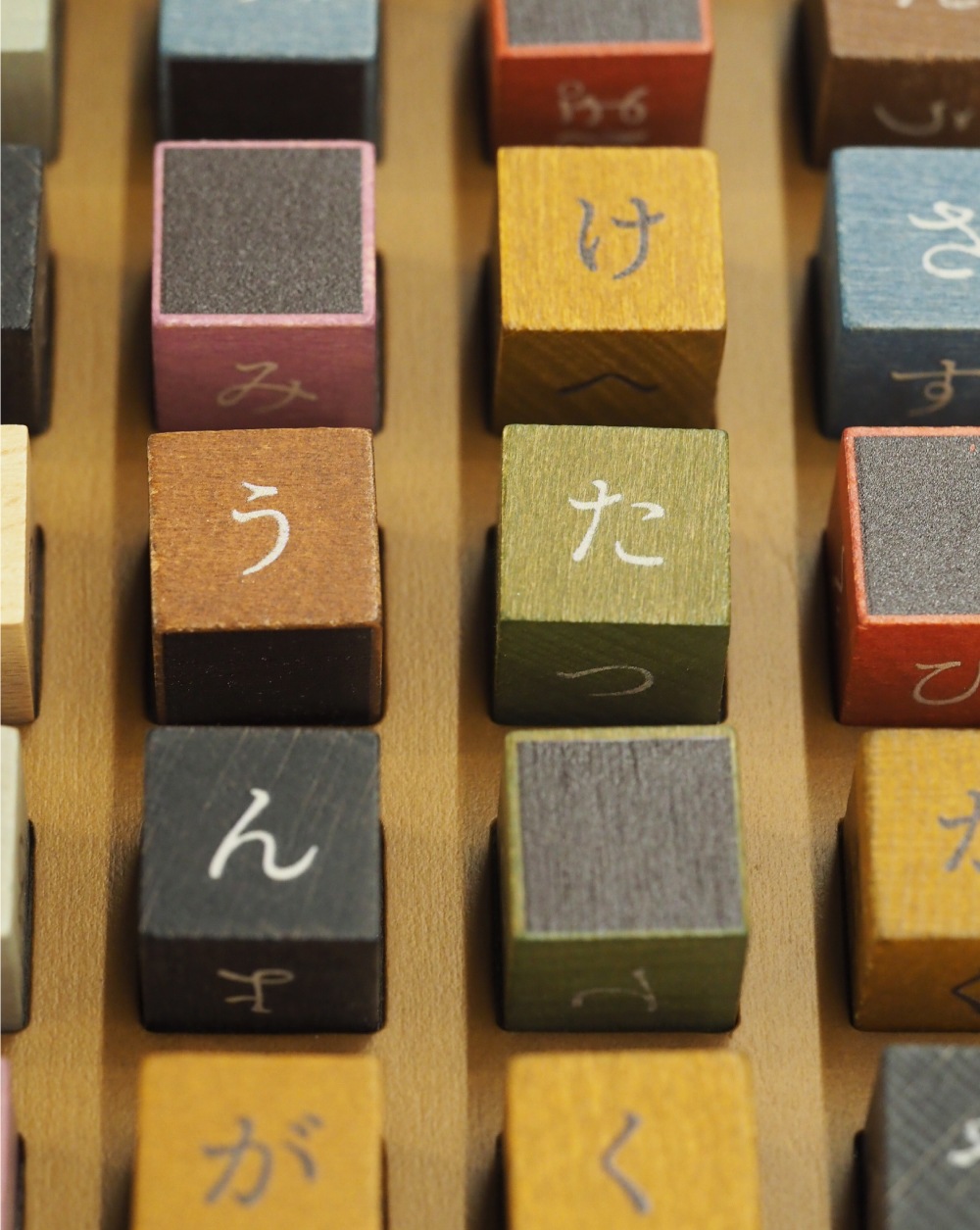 ��������ɥѥ���