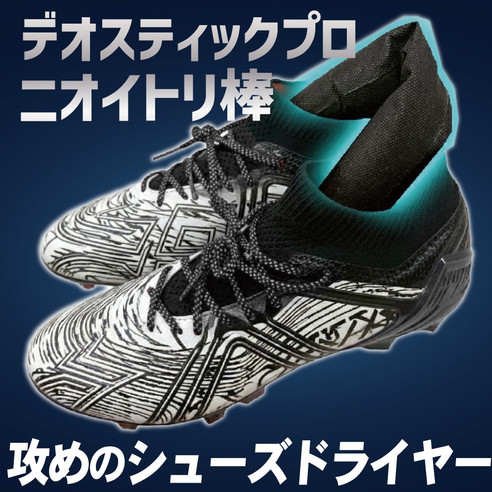 �ǥ����ƥ��å��ץ� �˥����ȥ���