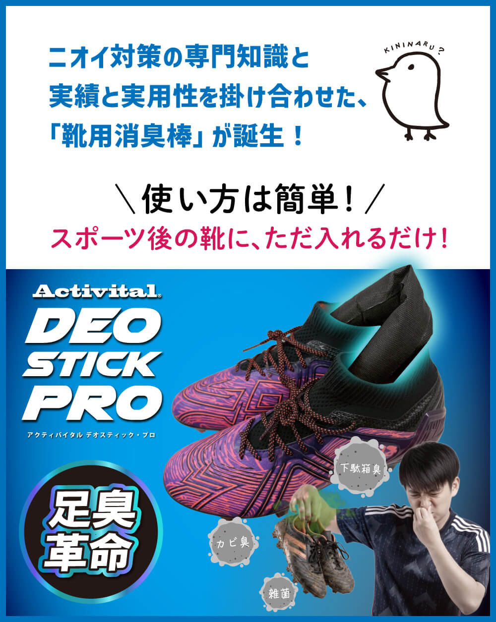 �ǥ����ƥ��å��ץ� �˥����ȥ���