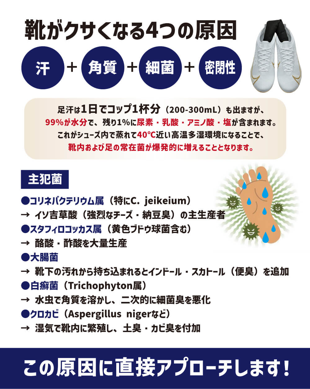 �ǥ����ƥ��å��ץ� �˥����ȥ���