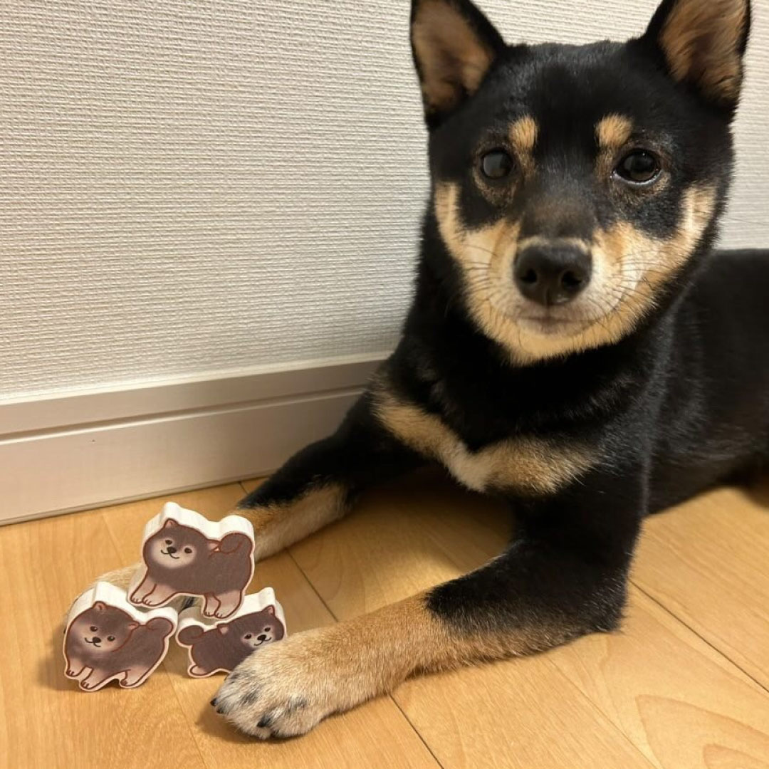 ���������Ѥ��� Ʀ��