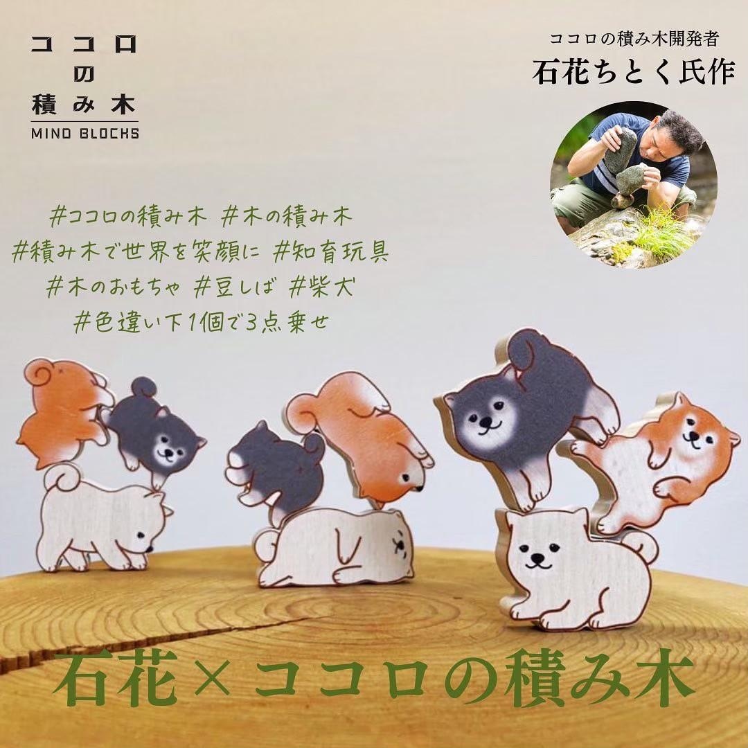 ���������Ѥ��� Ʀ��