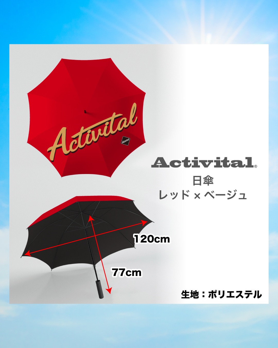 �ڸ���/20%OFF������