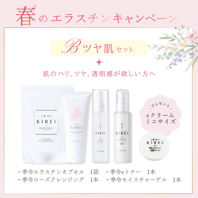 〔送料無料〕春のエラスチンキャンペーン 【B】ツヤ肌セット