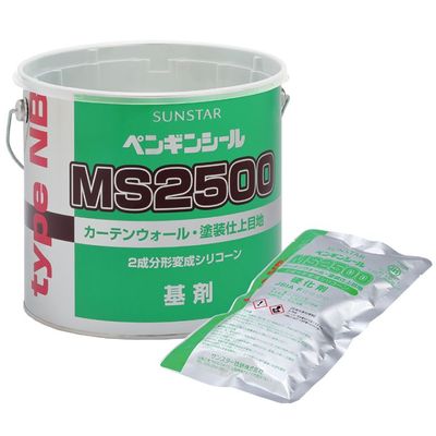 ڥ󥮥󥷡MS2500(NB)4L