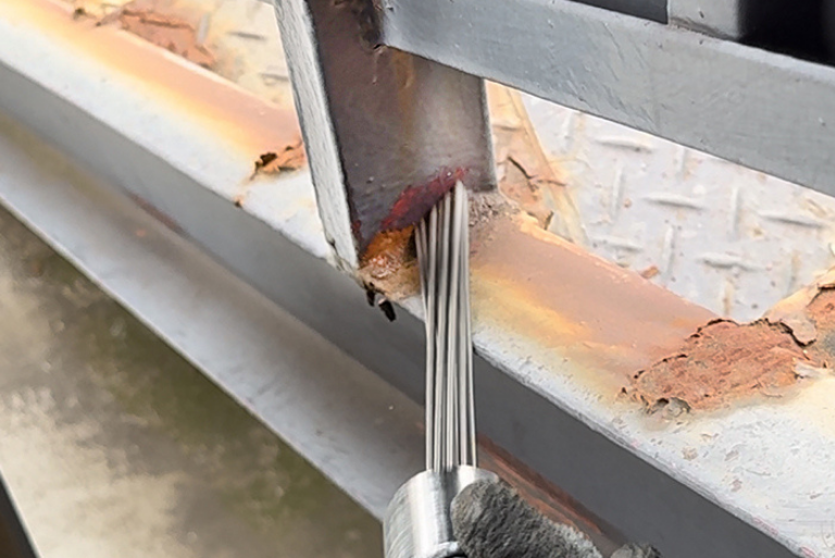 マルテー ニードルコゲラ