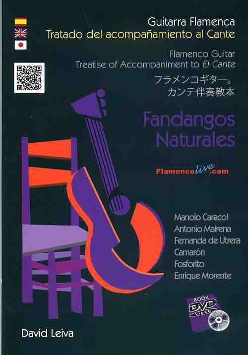 ギターラ・フラメンカ全巻 DVD CD フラメンコギター教本