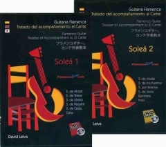 ダビ・レイバ「フラメンコ・ギター/カンテ伴奏教本(ソレア1/ソレア2)セット」(DVD+楽譜)(中古)