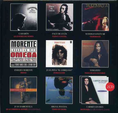 フラメンコ DVD コレクション 約20枚 フラメンコ DVD コレクション 約20枚