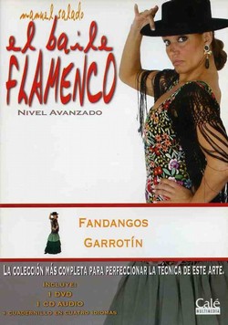 【21全巻セット】エル・バイレ・フラメンコ DVD教材 マヌエル・サラド 21全巻セット】エル・バイレ・フラメンコ DVD教材 マヌエル・サラド