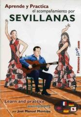 �ۥ����ޥ̥��롦���ȡ�����֥��ӥ��㡼�ʥ�ȼ�ե�������å���(DVD)��