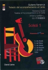 ダビ・レイバ「フラメンコ・ギター/カンテ伴奏教本(ソレア1)」(DVD+楽譜)