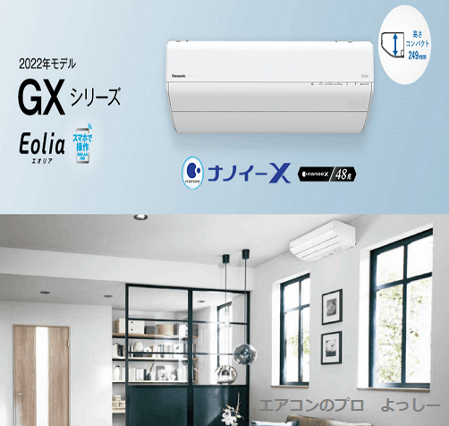 2022ǯǥ뢨<br>ѥʥ˥å ꥢ<br>GX꡼<br>CS-222DGX-W 100