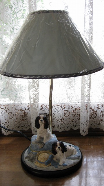 �ѹ����֥꡼���ŵ�������ɡ�����Хꥢ�����֥롼�ʥȥ饤��