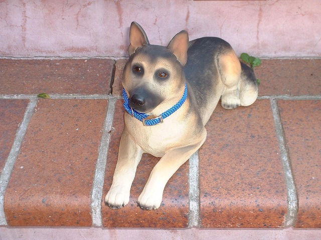 �����ѡ��ɡ�BOB