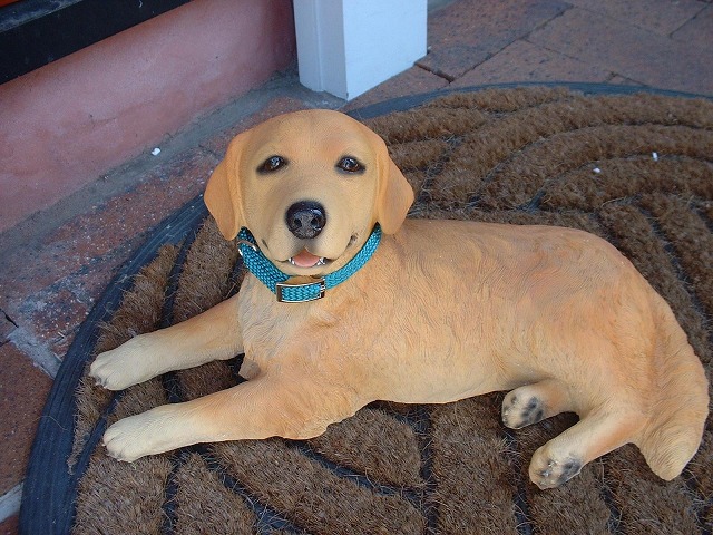 ������ǥ󡡥�ȥ꡼�С���BOB