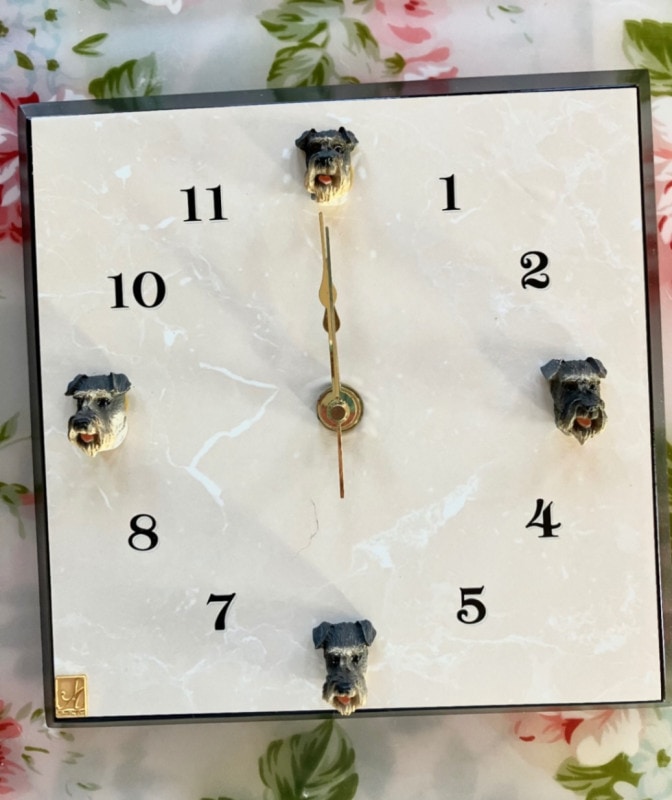 ����ʥ��������ɥå��إåɡ��ɳݻ��ס�