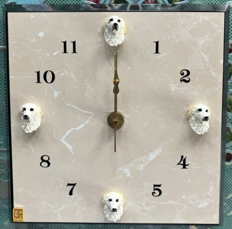 �ܥ륾���򡡥ɥå��إåɡ��ɳݻ��ס�