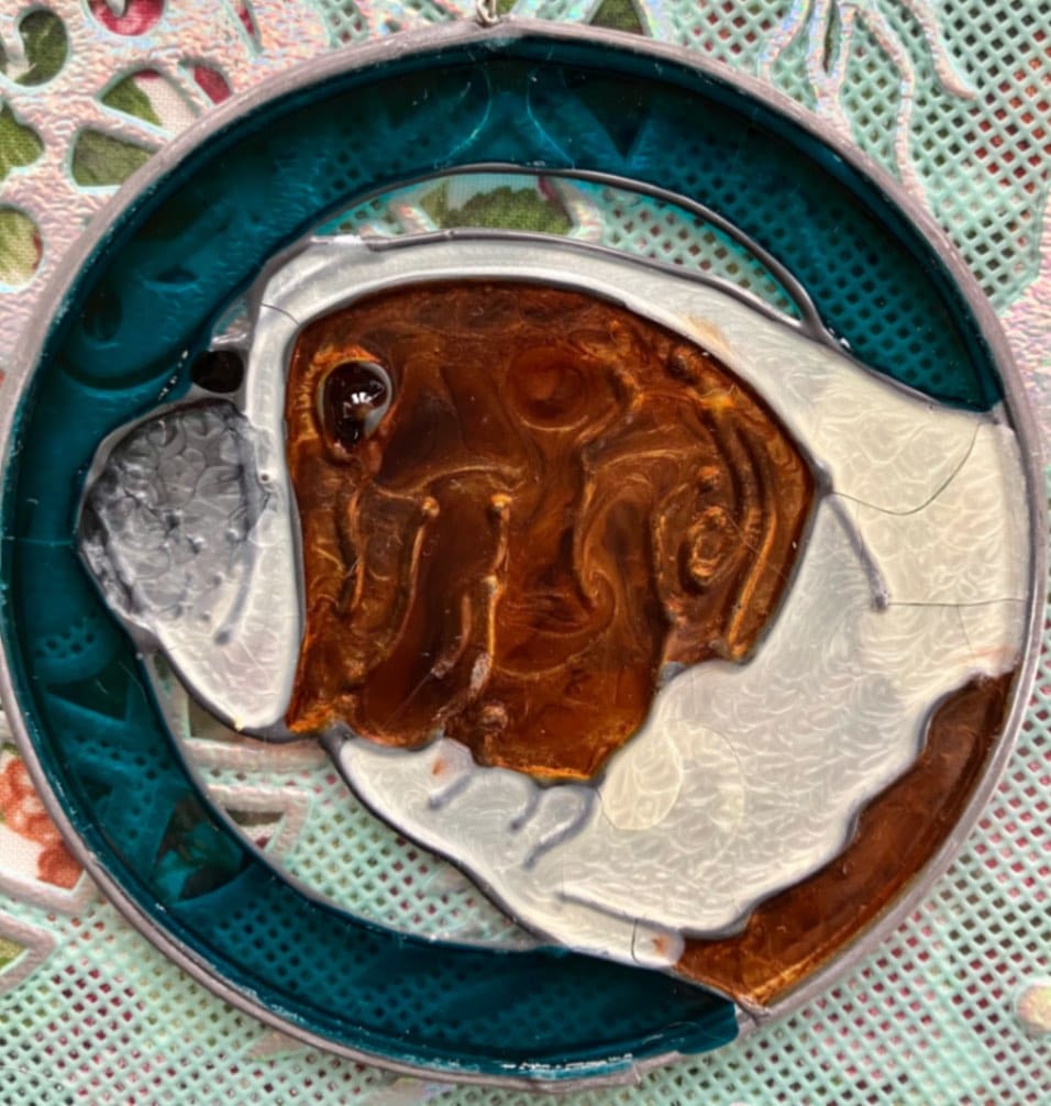 英国製ステンドグラス (ブルドッグ) | すべてのカテゴリー