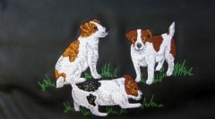 �ѹ����ɽ��쥶���Хå�������å���å���ƥꥢ