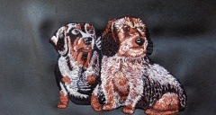 �ѹ����ɽ��쥶���Хå�������&�磻�䡼�إ������å����ե��