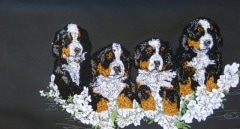 �ѹ����ɽ��쥶���Хå����С��ˡ����ޥ���ƥ�ɥå�