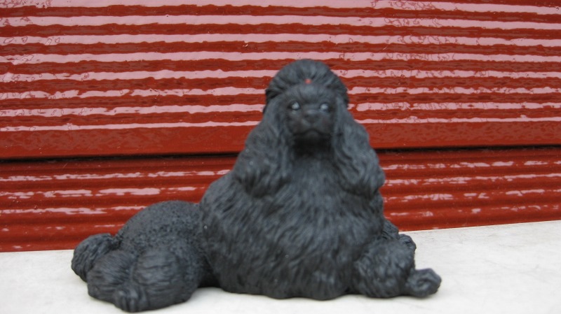 �ס��ɥ롡�ʾ��ˡ��֥�å�