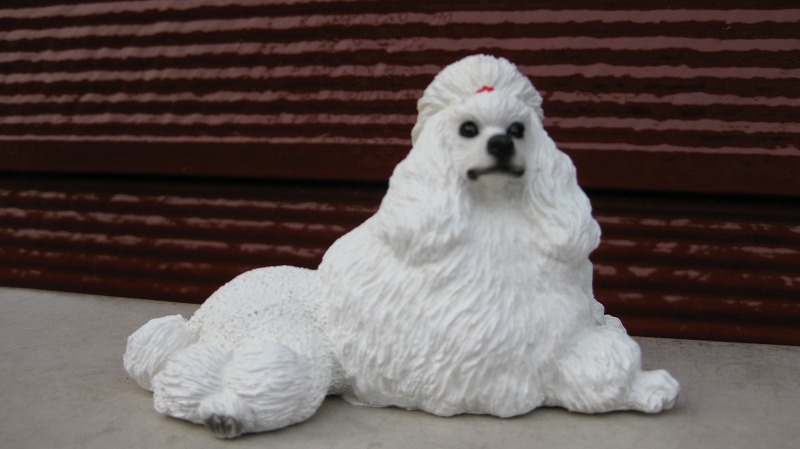 �ס��ɥ롡�ʾ��ˡ��ۥ磻��