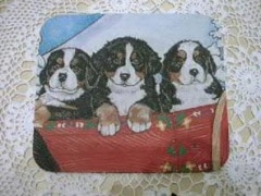 �ޥ����ѥåɡ��ʥС��ˡ������ޥ���ƥ�ɥå���