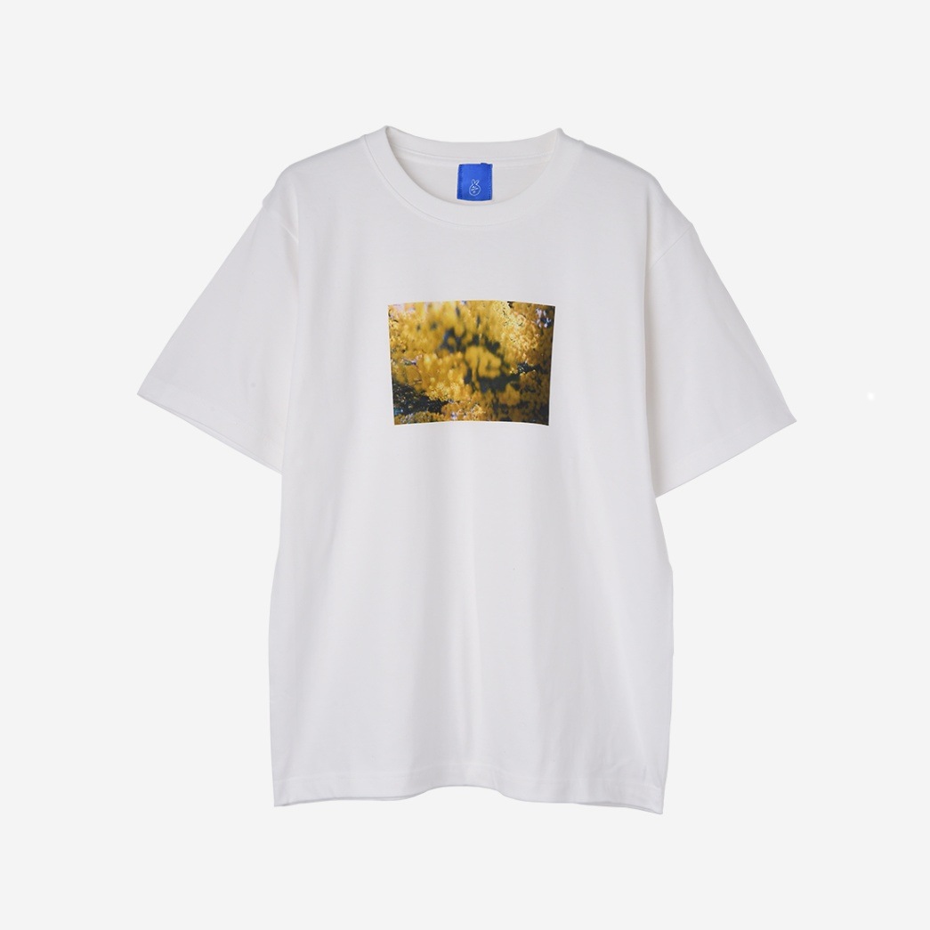 【adieu】ひみつのミモザTee(white)