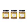 MUSTARD HOLiC 生姜マスタード 3個セット