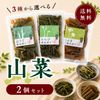 【3種から選べる】山菜漬け 2点セット 送料無料 (山うど・わらび・ふき)クリックポスト発送