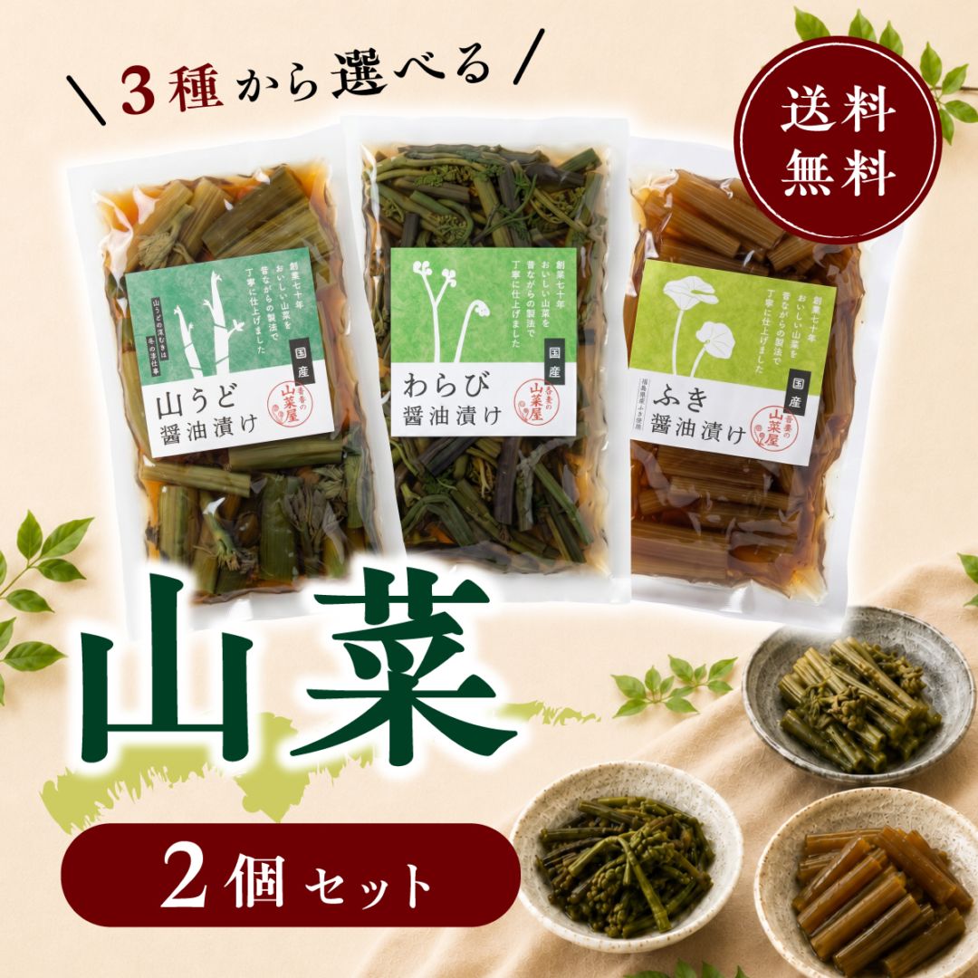 【３種から選べる】山菜漬け ２点セット 送料無料 （山うど・わらび・ふき）クリックポスト発送