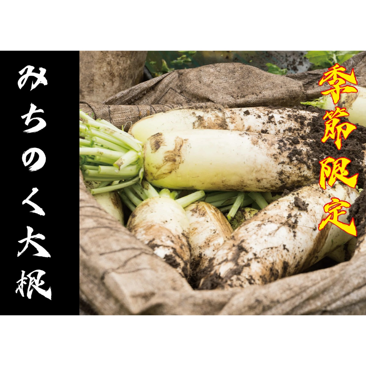 【季節限定セット商品】みちのく大根 紅花甘酢漬 6個セット