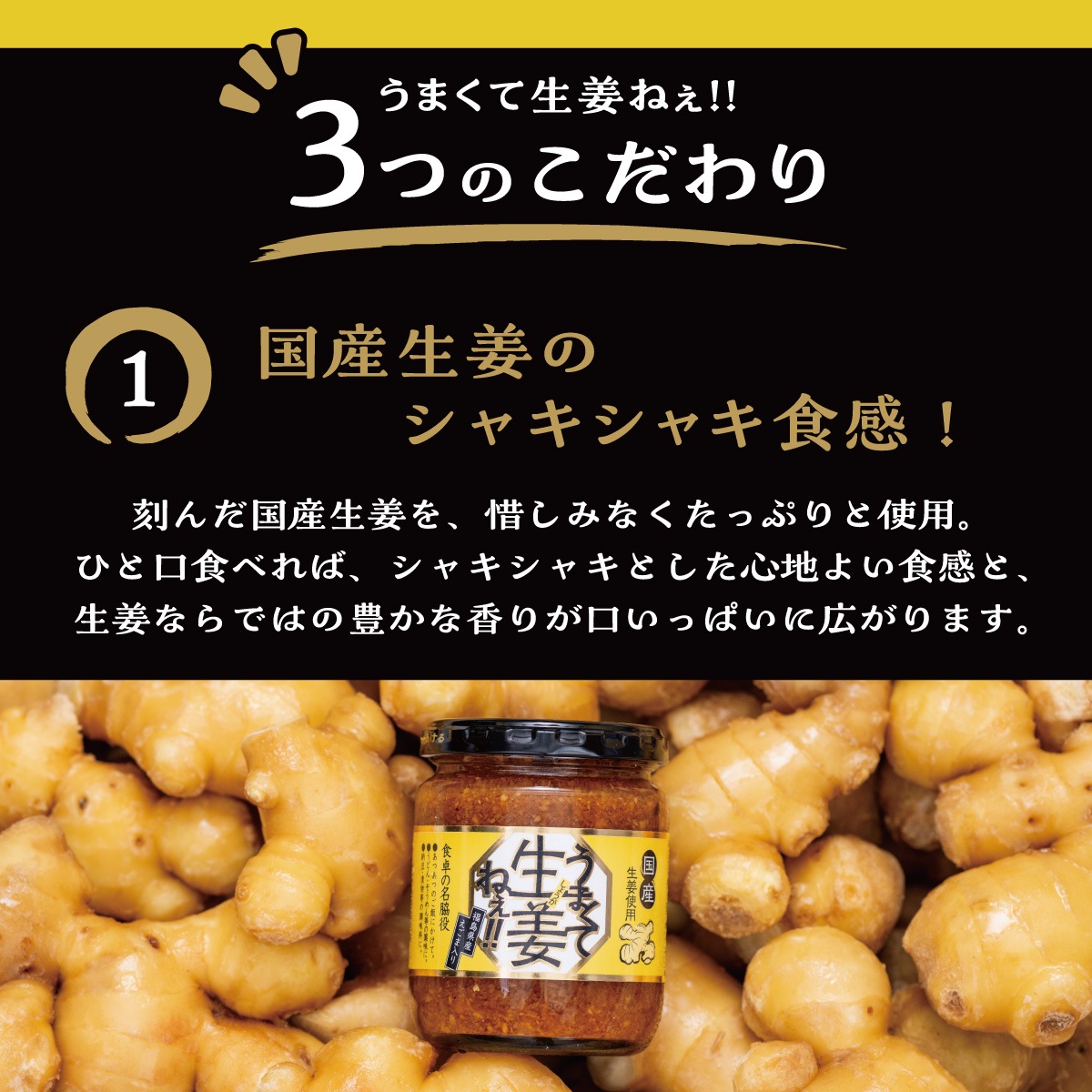 【物価高騰 家計応援セール】 栃木県産生姜使用 うまくて生姜ねぇ!! 3本セット（ラベルレス）