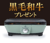 アラジンダイレクトショップ | 商品一覧