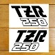 ޥϡTZR2501KT˥åƥ󥰥ƥåʥ󥯥֥å